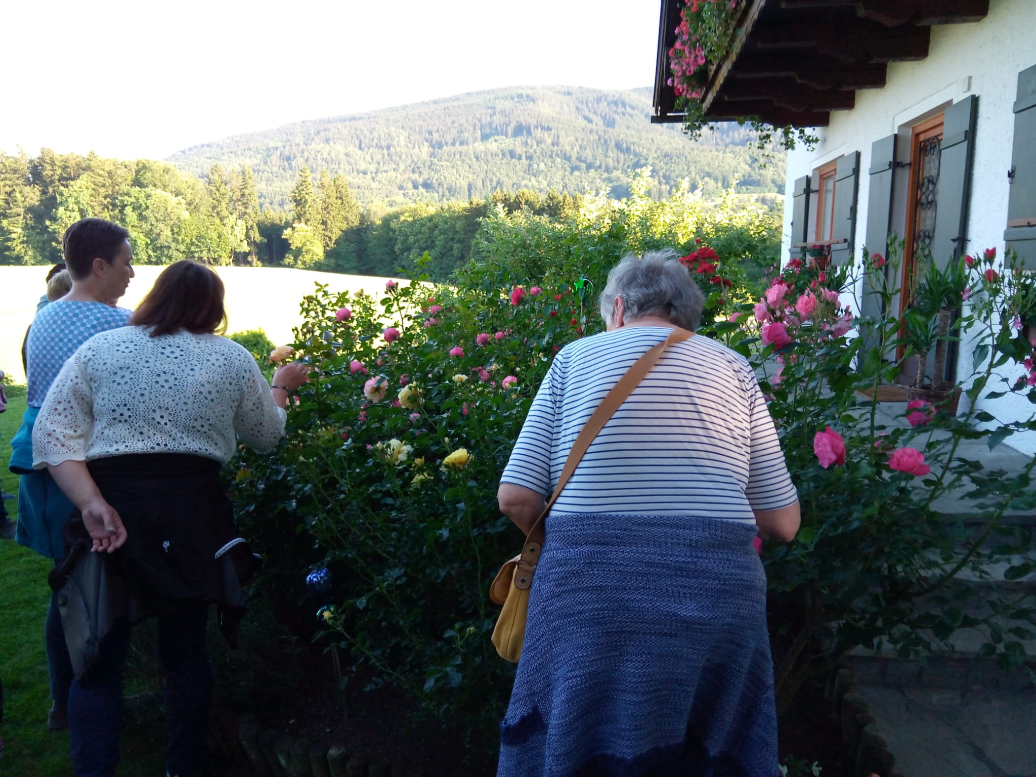 Gartenratsch